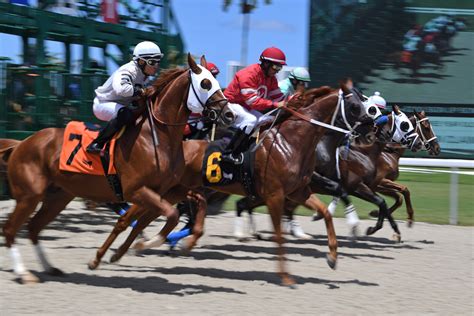 DRF Horse Racing Betting 17+ .